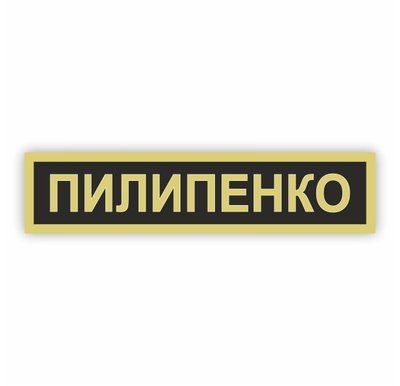 Бейдж металевий іменний для військових на шпильці або магніті 874943783 фото